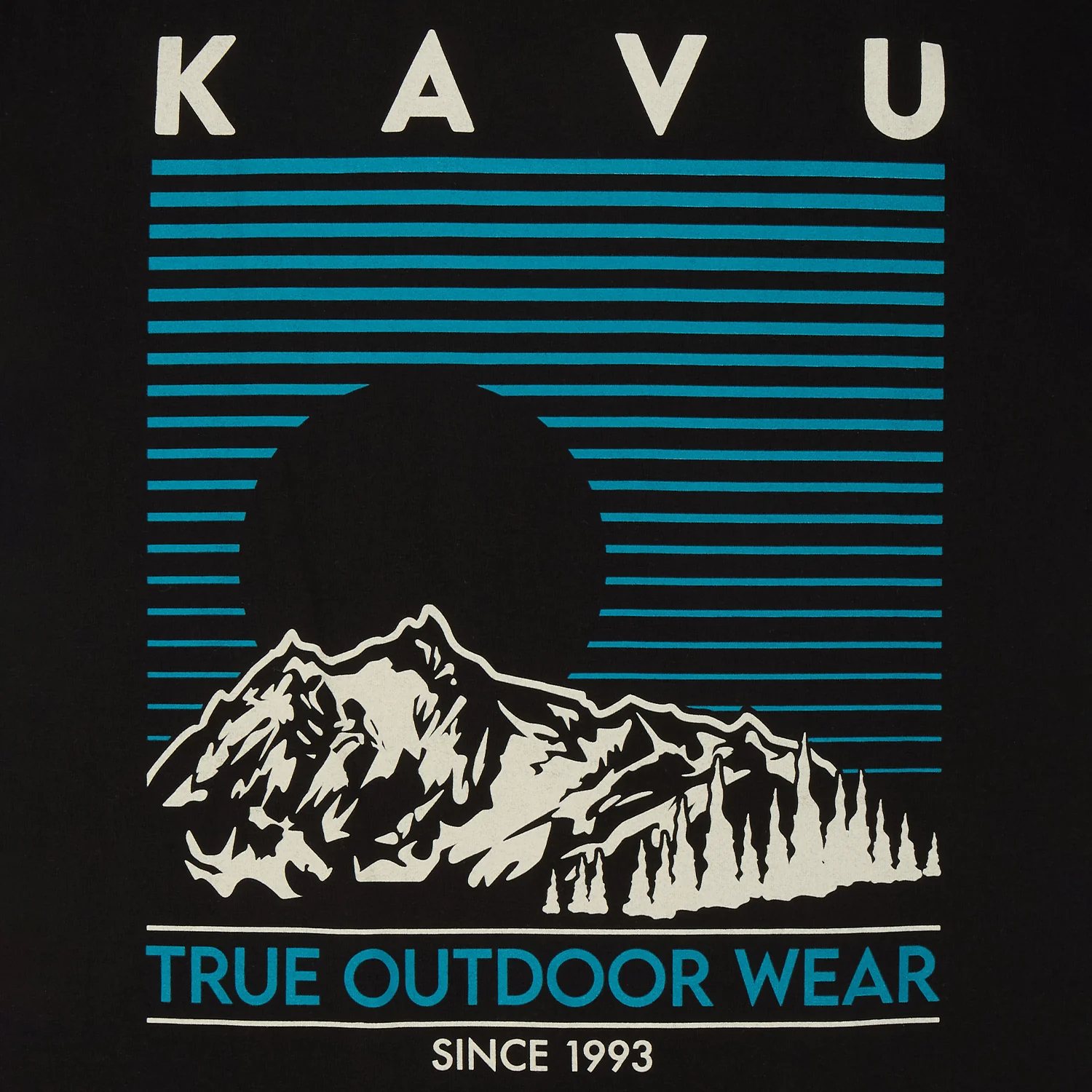 KAVU Landscape T-Shirt (Black) - Image 4